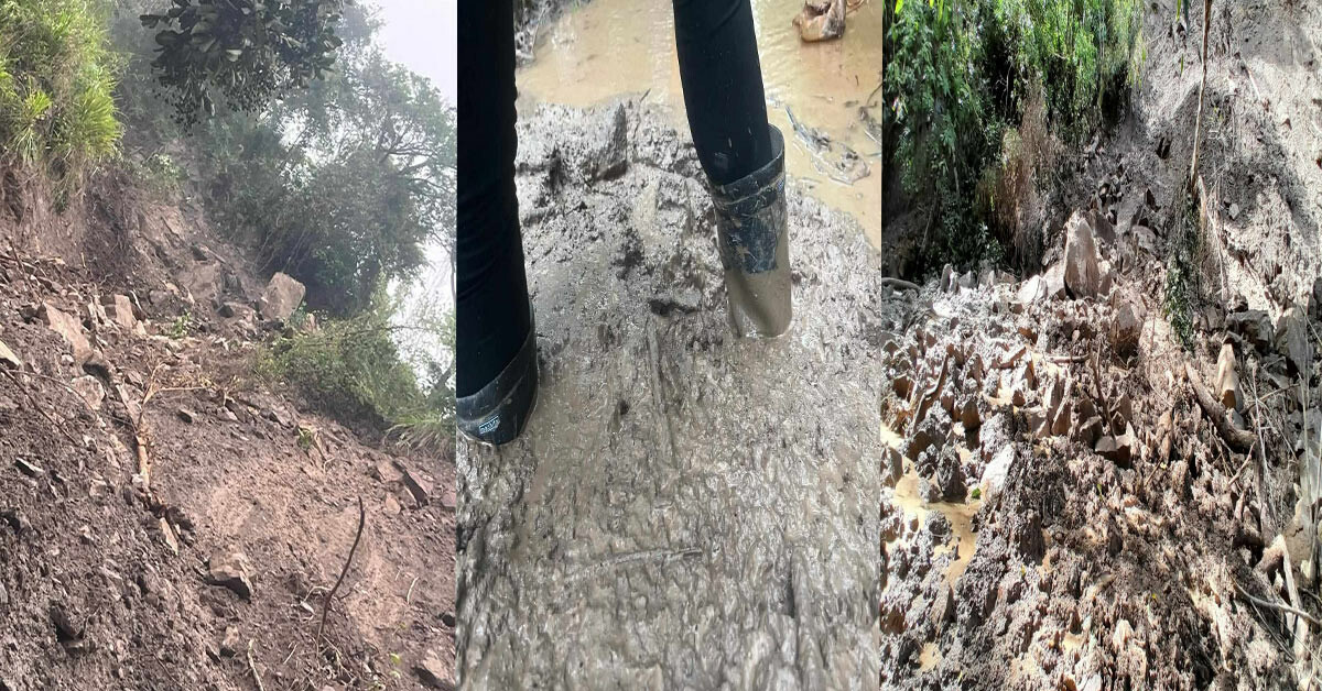 Ola invernal sigue haciendo de las suyas en el Tolima, ahora fue Ataco