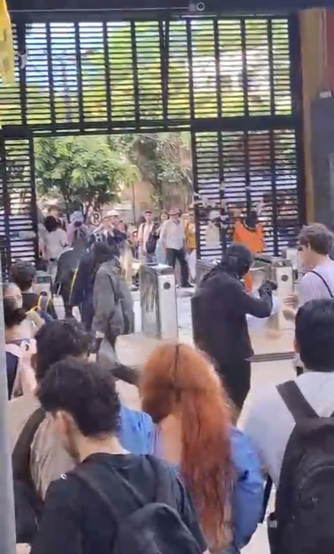 Universidad del Tolima se pronunció sobre los disturbios de ayer