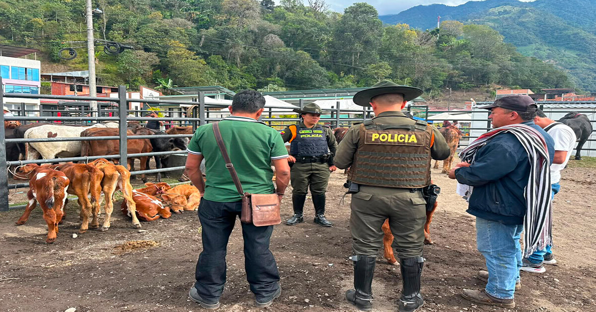 Mercado ganadero de Cajamarca queda bajo vigilancia contra el abigeato