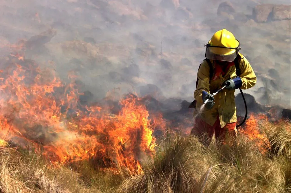 Temperaturas extremas elevan el riesgo de incendios en el Tolima