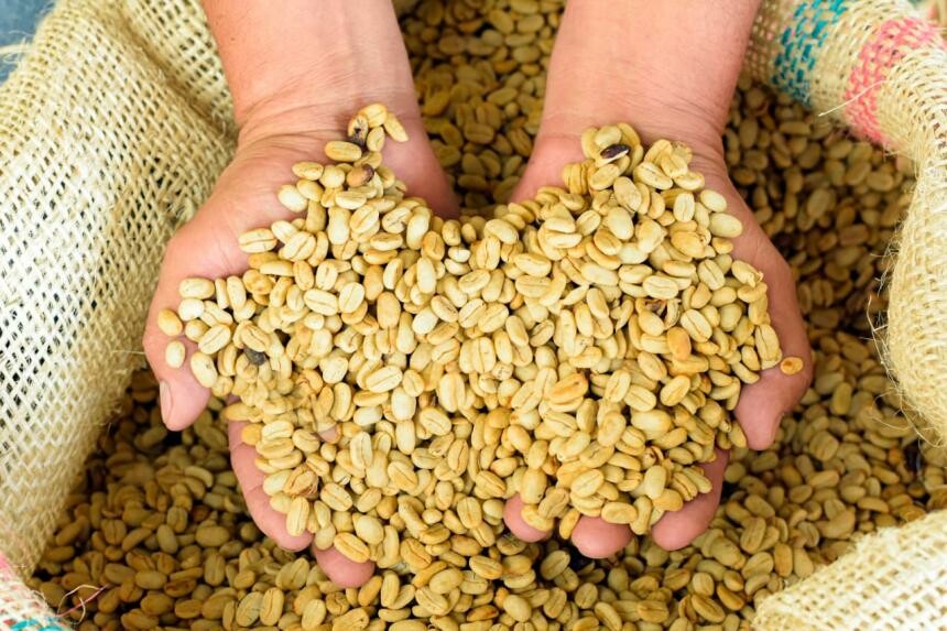 Empresarios locales participan en la Ruta de Internacionalización para acceder a mercados internacionales