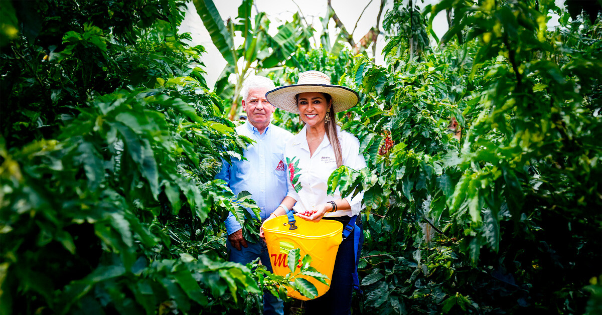 Empresarios podrán financiar becas cafeteras con descuento total en impuestos