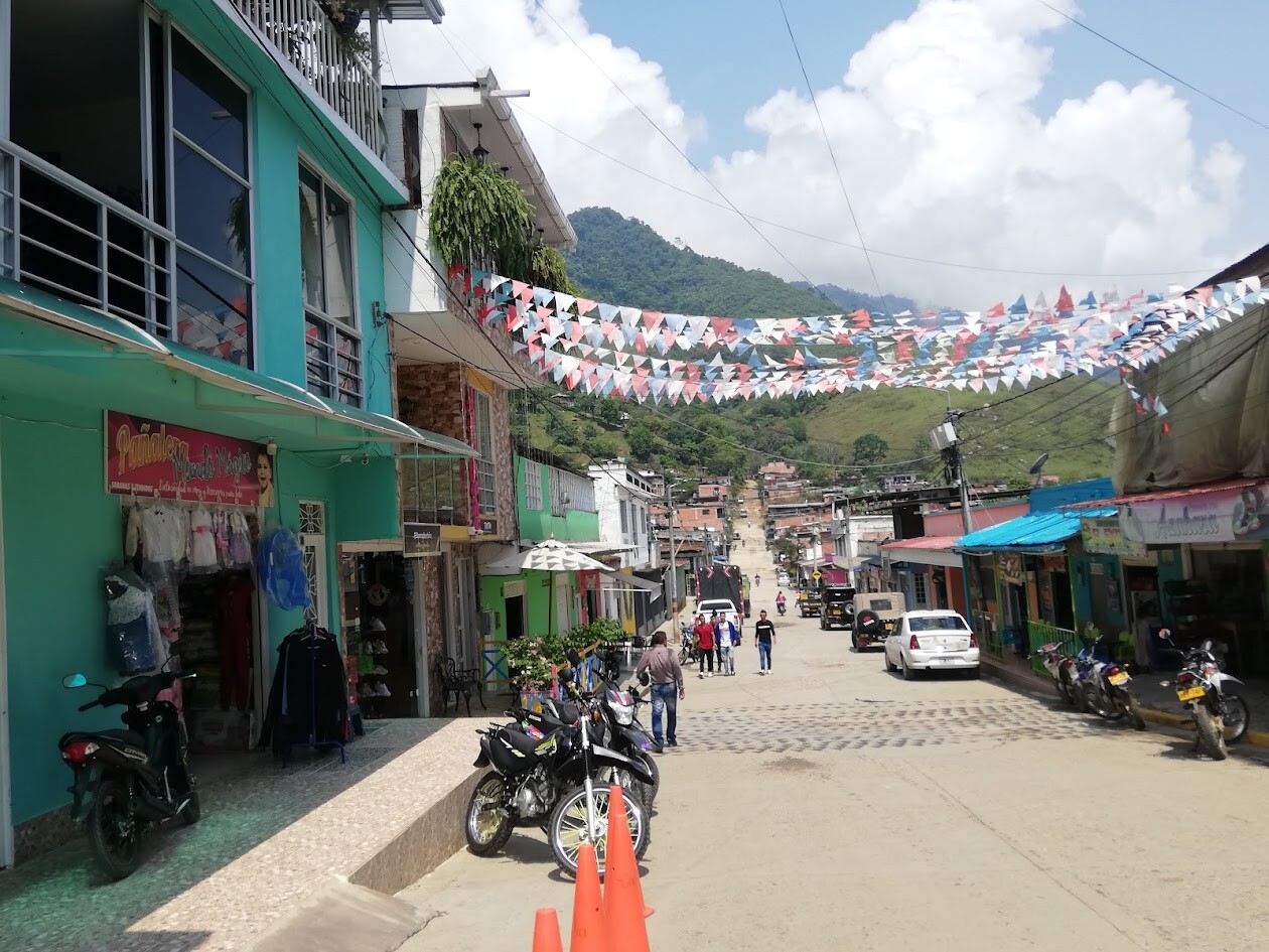 Alerta en el Tolima: Fallece paciente por fiebre amarilla