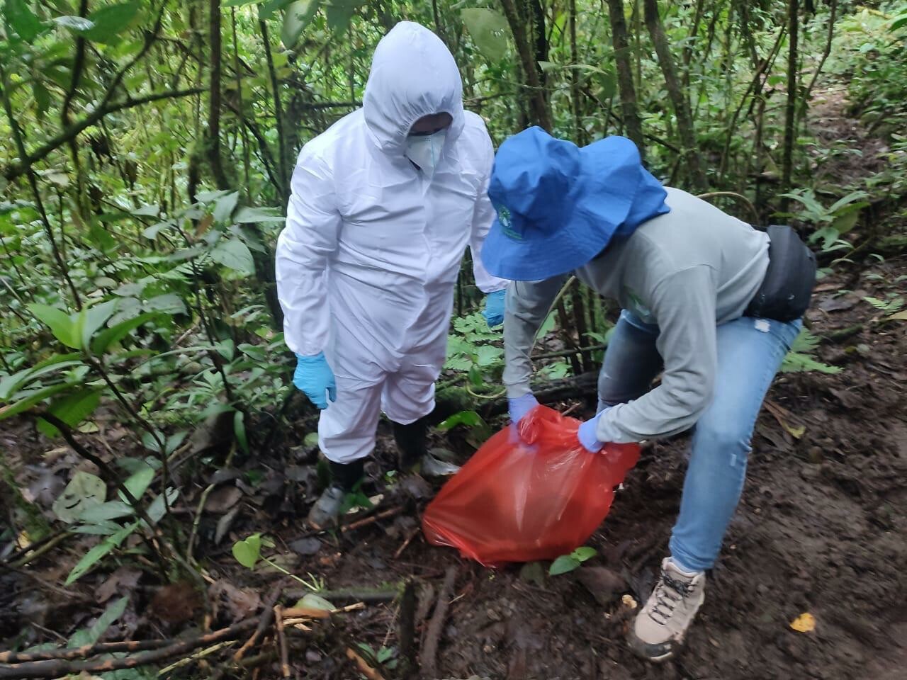 Cortolima desmiente falsos informes sobre muerte de decenas de monos en Planadas