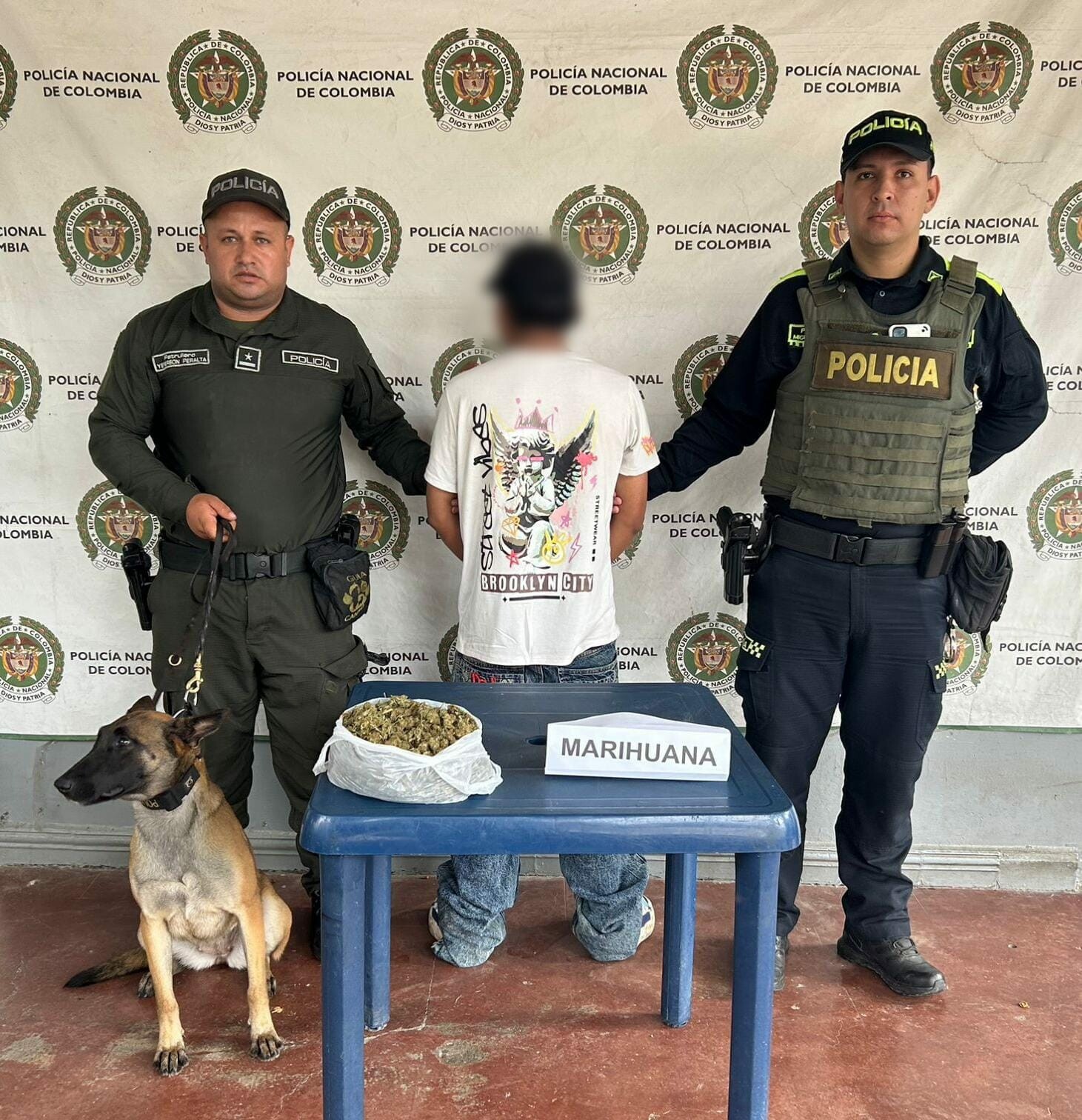 Droga encontrada en bus intermunicipal en operativo nocturno en Saldaña