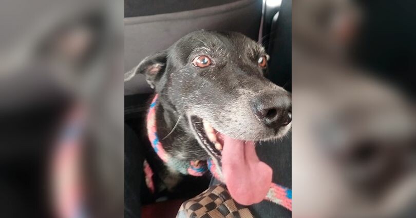 Lucas lucha por recuperarse y su familia busca apoyo para continuar su tratamiento