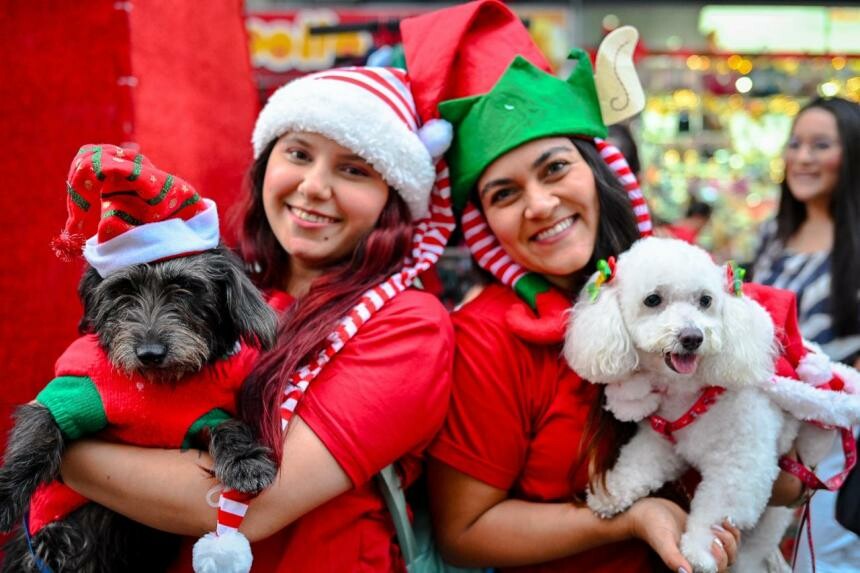 Jornada de adopción navideña reunirá perros y gatos en centro comercial de Ibagué