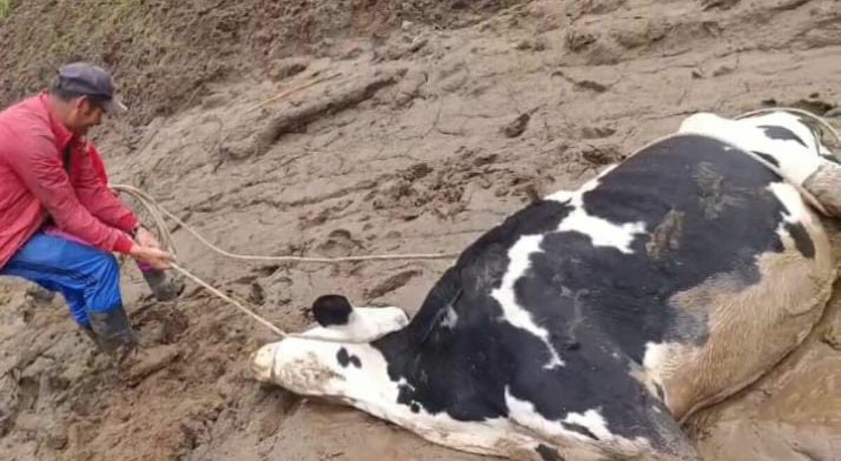 Samaria sigue aislada un mes después de la avalancha en Villahermosa