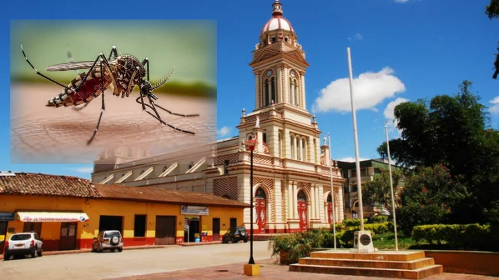 Fiebre amarilla reaparece en Chaparral y deja primera víctima mortal