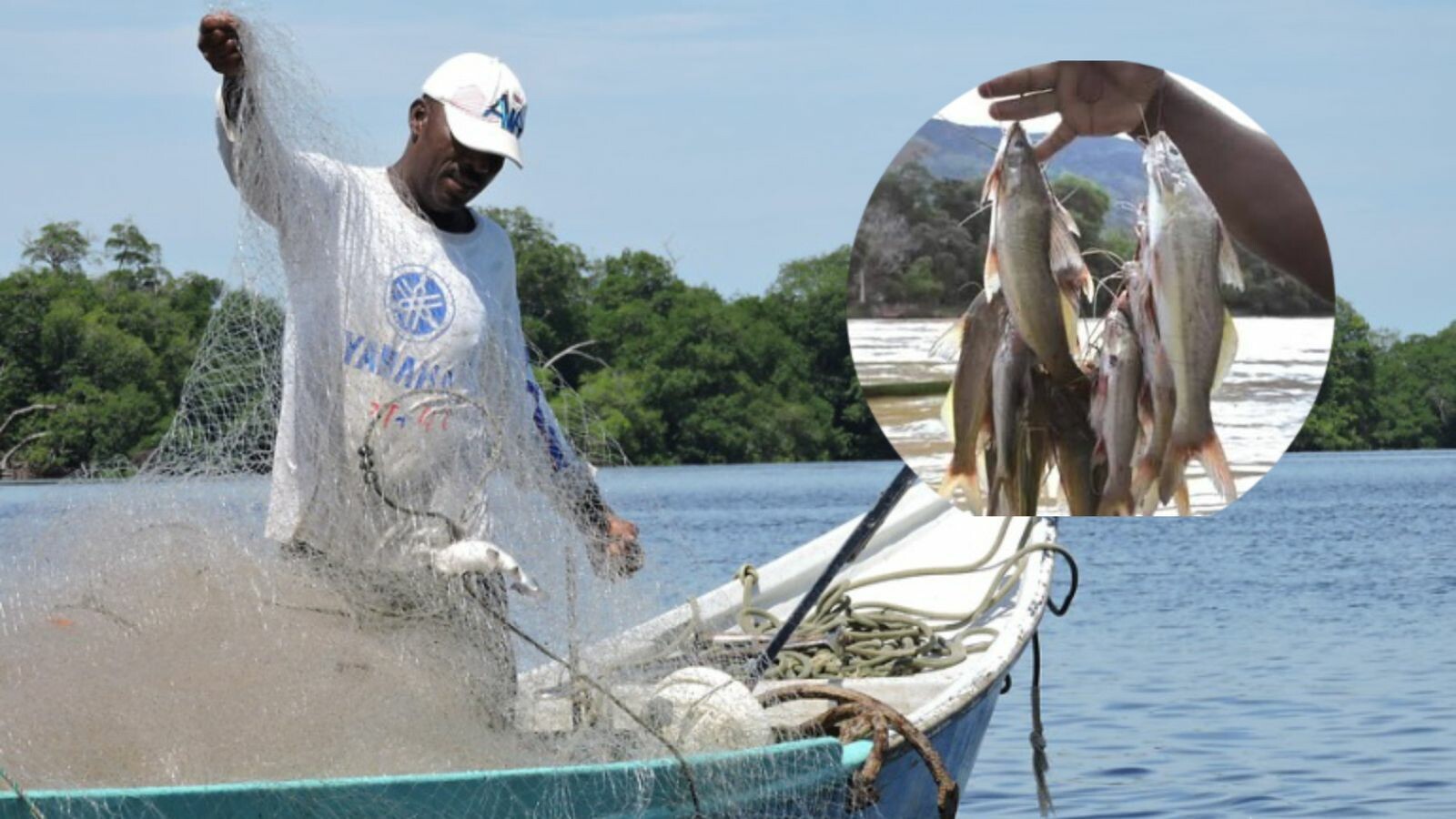 Pesca ilegal amenaza biodiversidad y economía ribereña en Honda