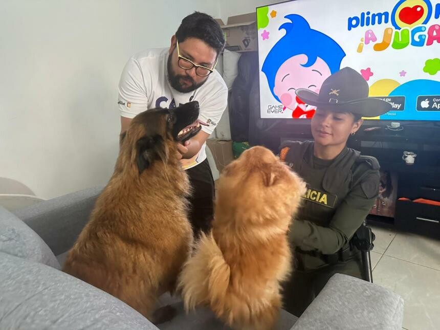 Autoridades revisan estado de dos perros tras denuncia ciudadana