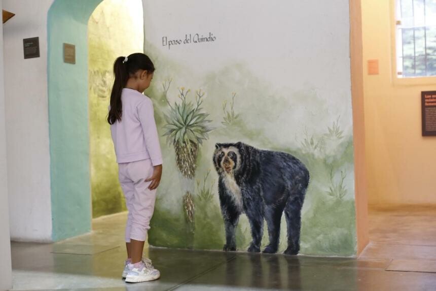 Fauna y mitos del Tolima se exhiben en Museo Panóptico