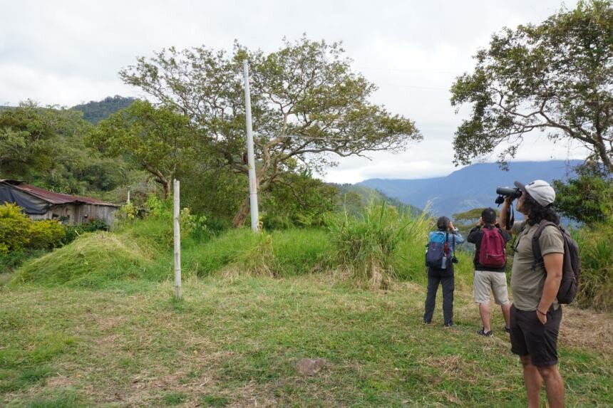 Camino Nacional en Ibagué se abrirá con actividades culturales y recreativas