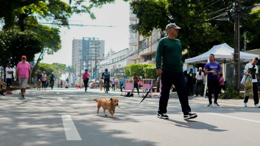 112 comparendos en Día sin carro y sin moto en Ibagué