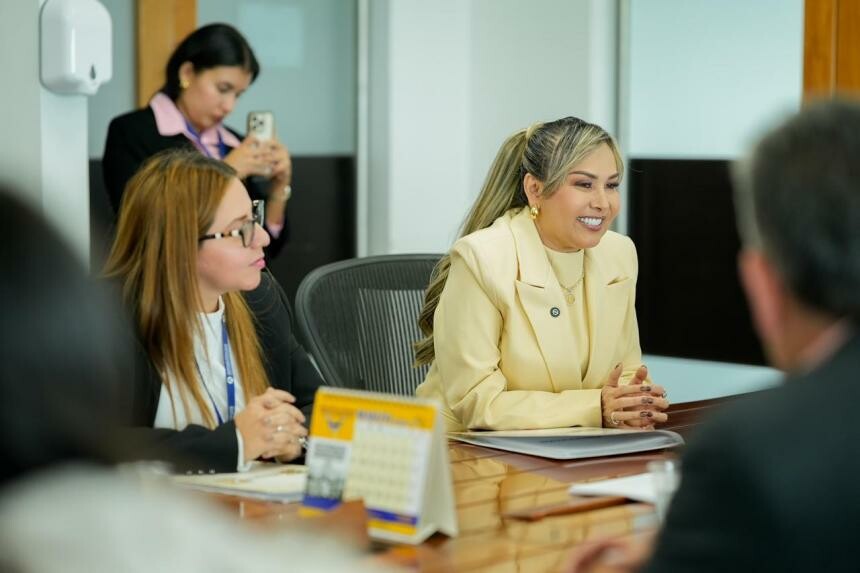 Proponen aumentar vuelos y modificar accesos en el Aeropuerto Perales