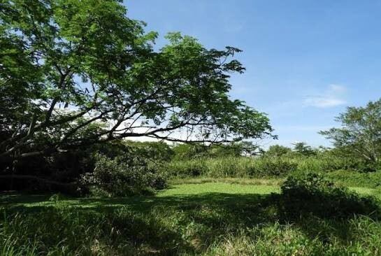 Humedal La Herreruna recibe millonaria inversión tras años de contaminación