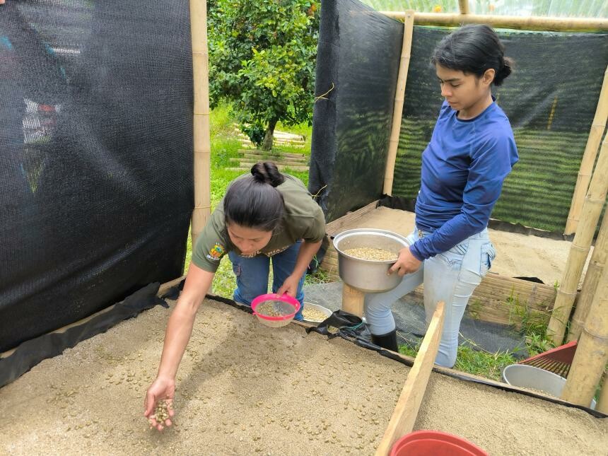 Vivero en Tapias busca reactivar producción agrícola local