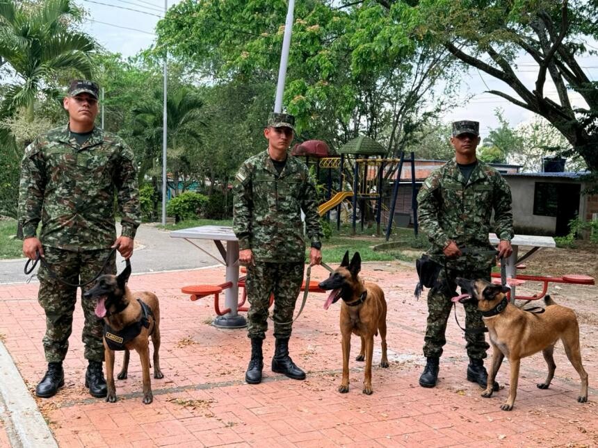 Inspeccionan Nazaret con caninos por riesgo de explosivos