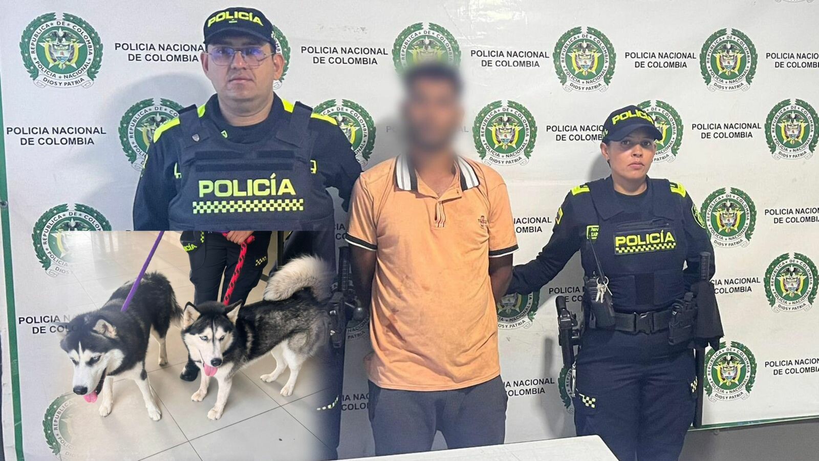Detenido en parque del Líbano tras agredir dos perros bajo su cuidado