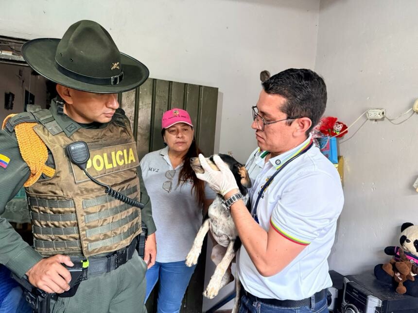 Denuncia por presunto maltrato animal terminó sin hallazgos en Picaleña