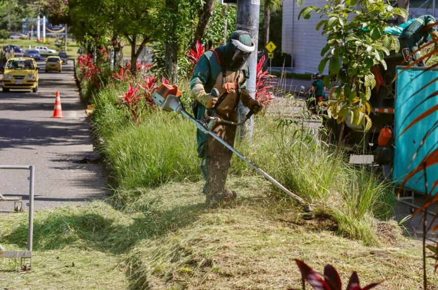 Separador olvidado reabre debate sobre el abandono urbano en Ibagué