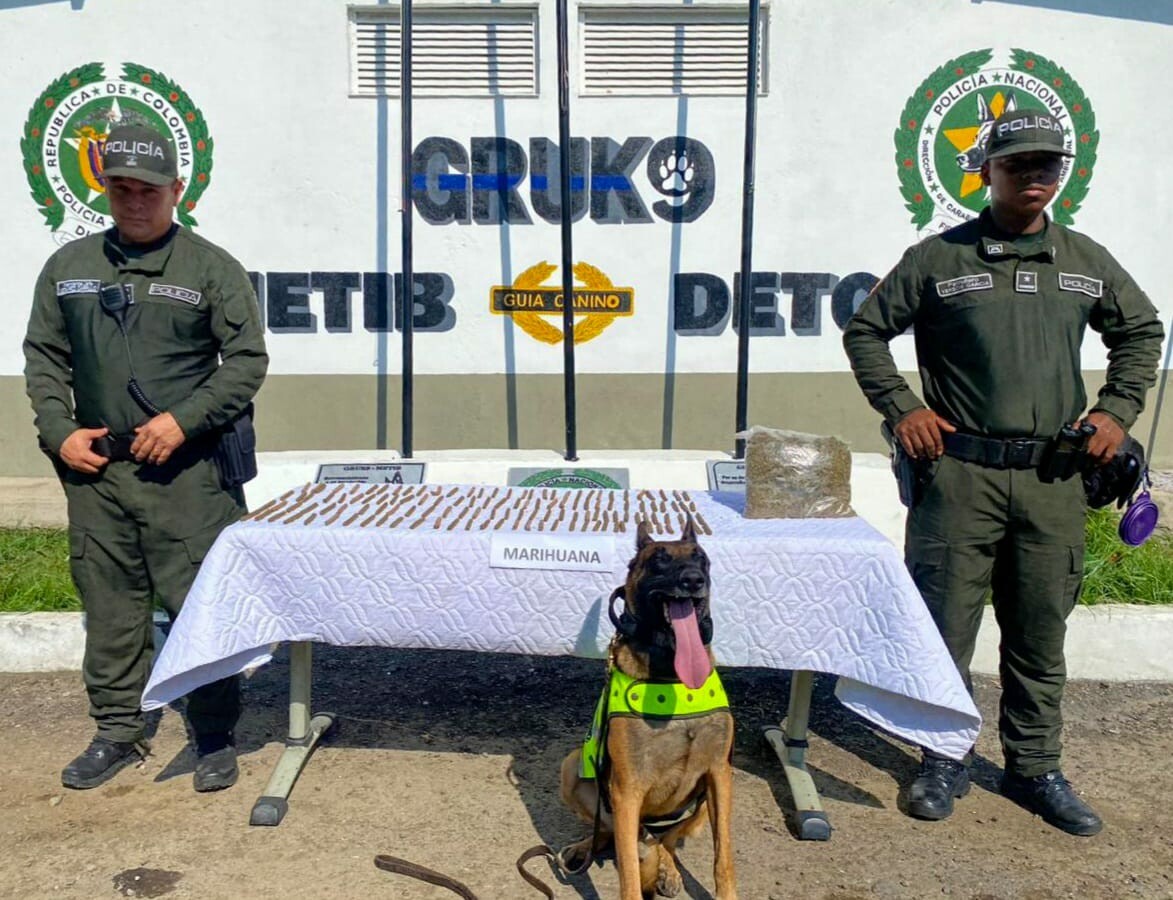 Marihuana viajaba camuflada en encomienda rumbo a Cambao