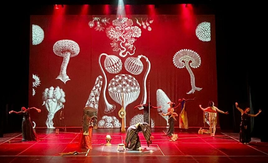 Museo Panóptico recibirá montaje inspirado en Mutis y García Márquez
