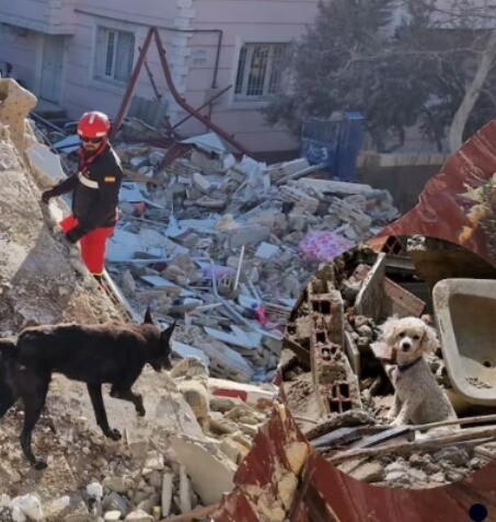 Rescatistas concluyen búsqueda tras terremotos que dejan miles de muertos