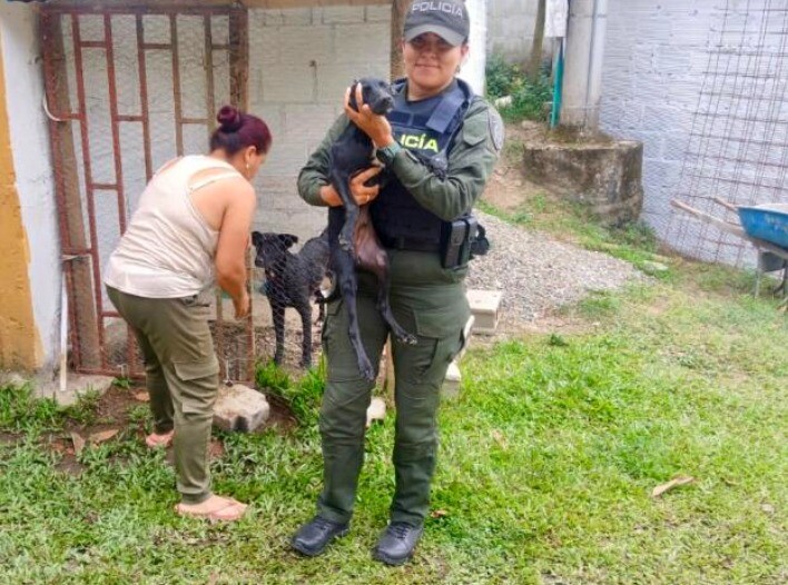 Tres alertas por animales movilizaron operativos durante el fin de semana