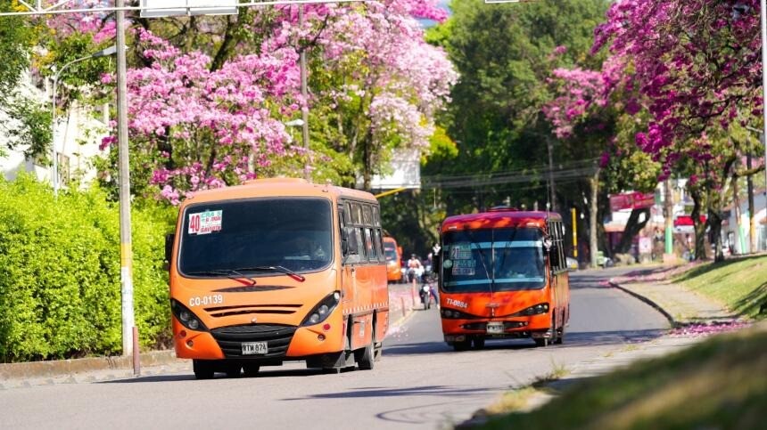 Carrera Quinta lista, pero la movilidad sigue en expansión