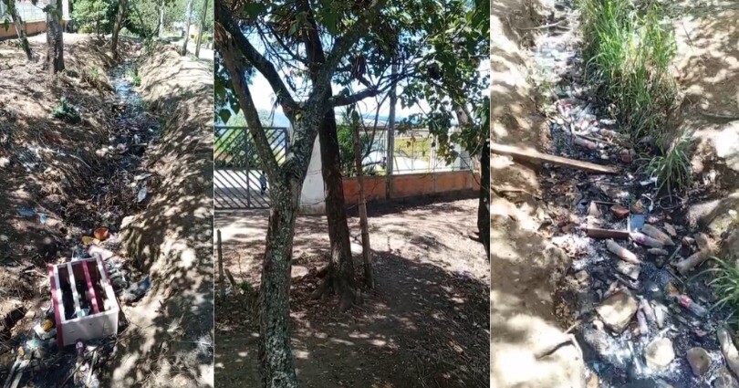 Basuras rodean colegio y generan alarma entre la comunidad educativa