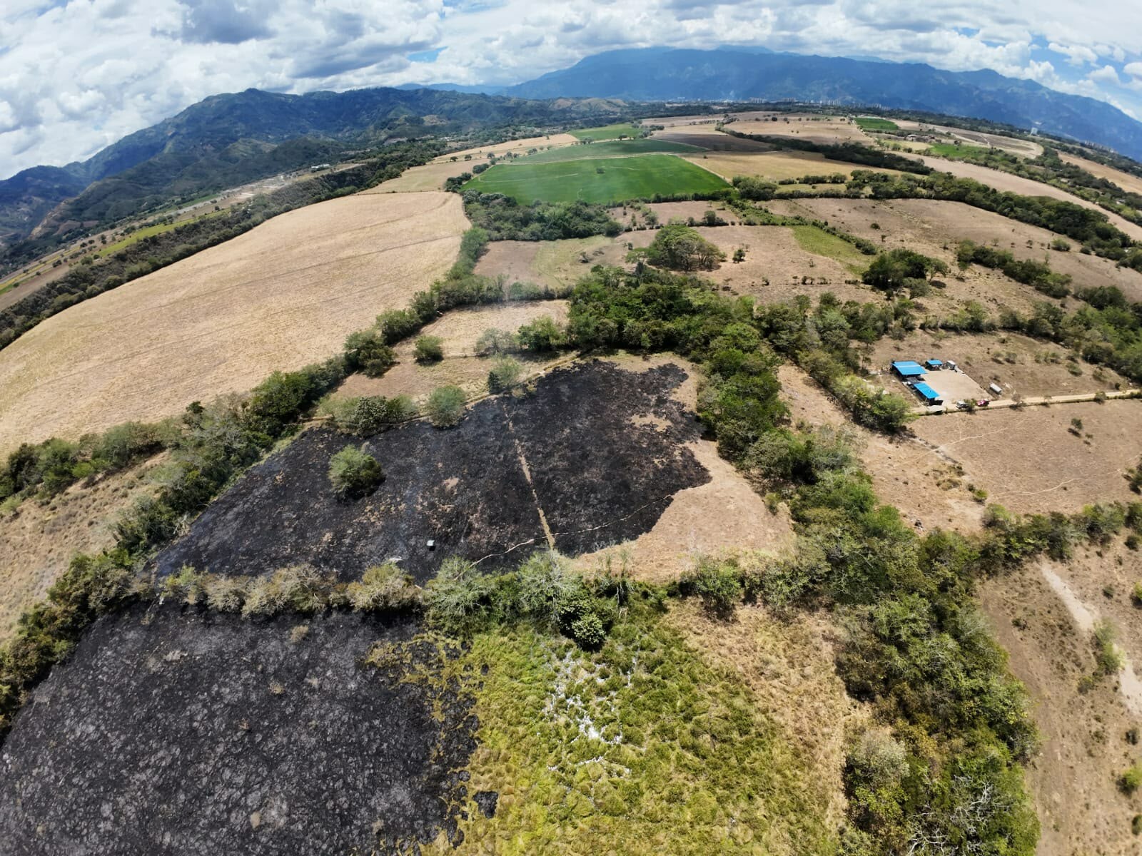 Incendio forestal en Aparco afectó cerca de cinco hectáreas