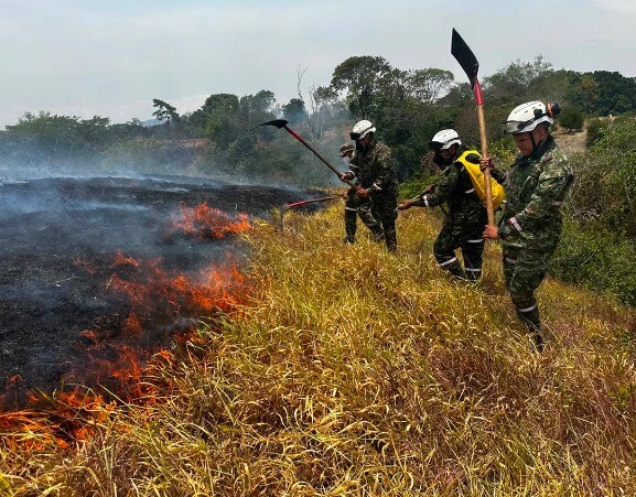 Más de 11.000 hectáreas afectadas mantienen en máxima tensión al Tolima