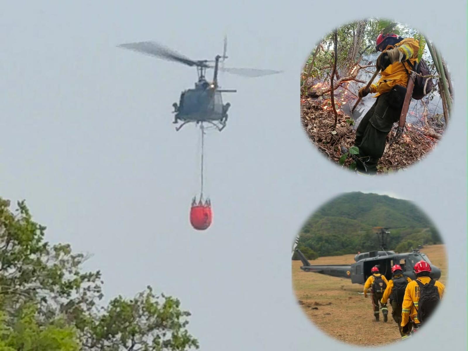 Incendios forestales mantienen en alerta a seis municipios del Tolima