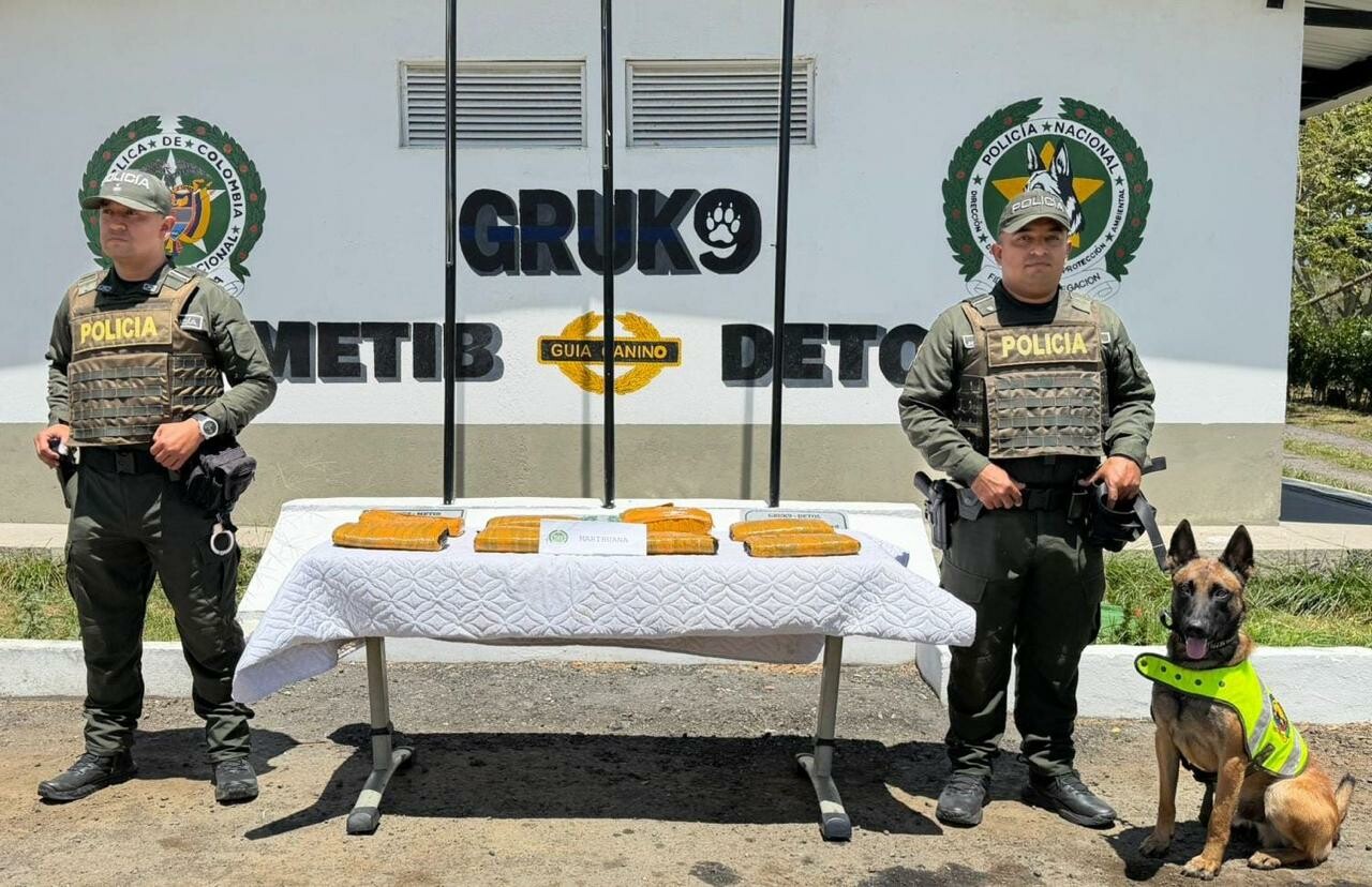 Casi ocho kilos de marihuana fueron detectados en una encomienda