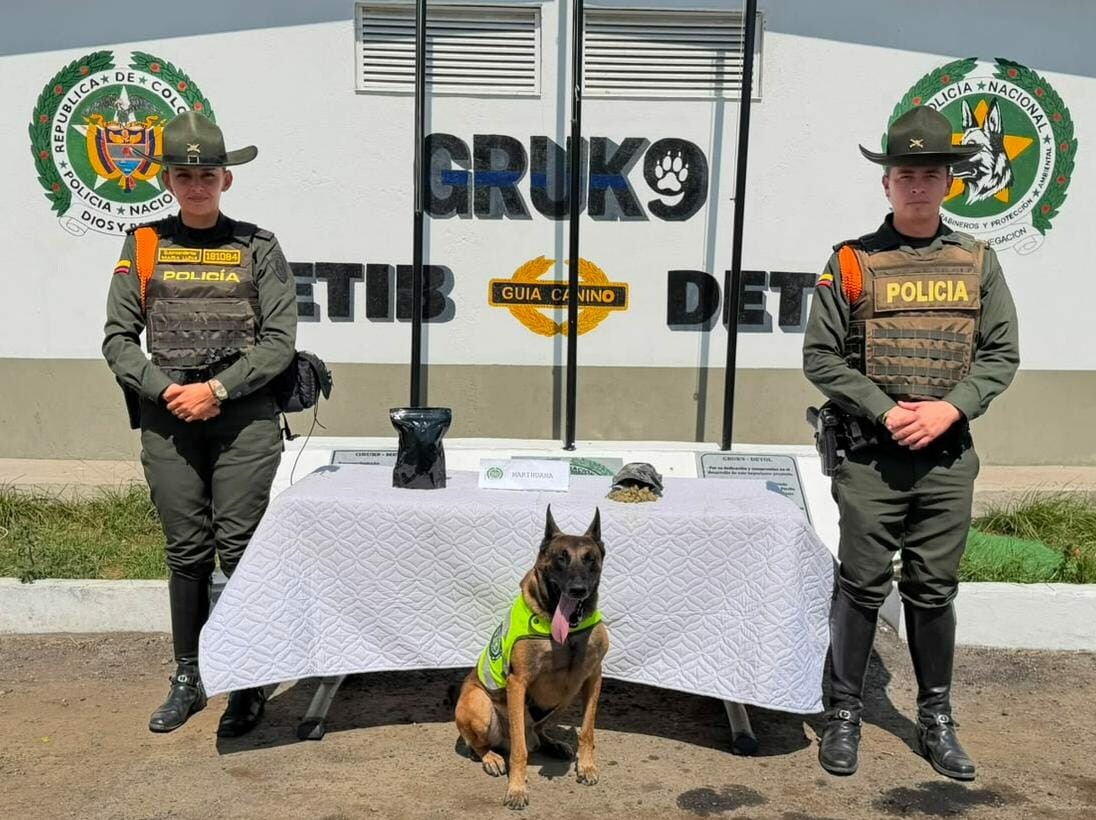 Encomienda desde Medellín llevaba marihuana oculta rumbo a Ibagué