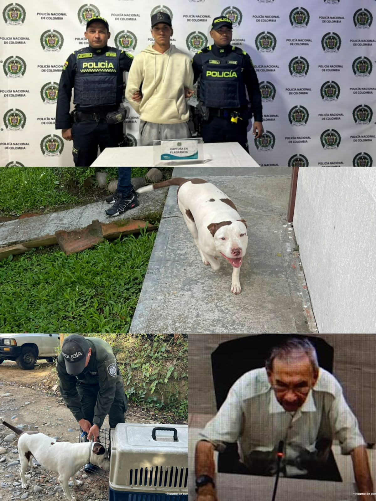 Tres casos de maltrato animal terminan con dos condenas y una imputación