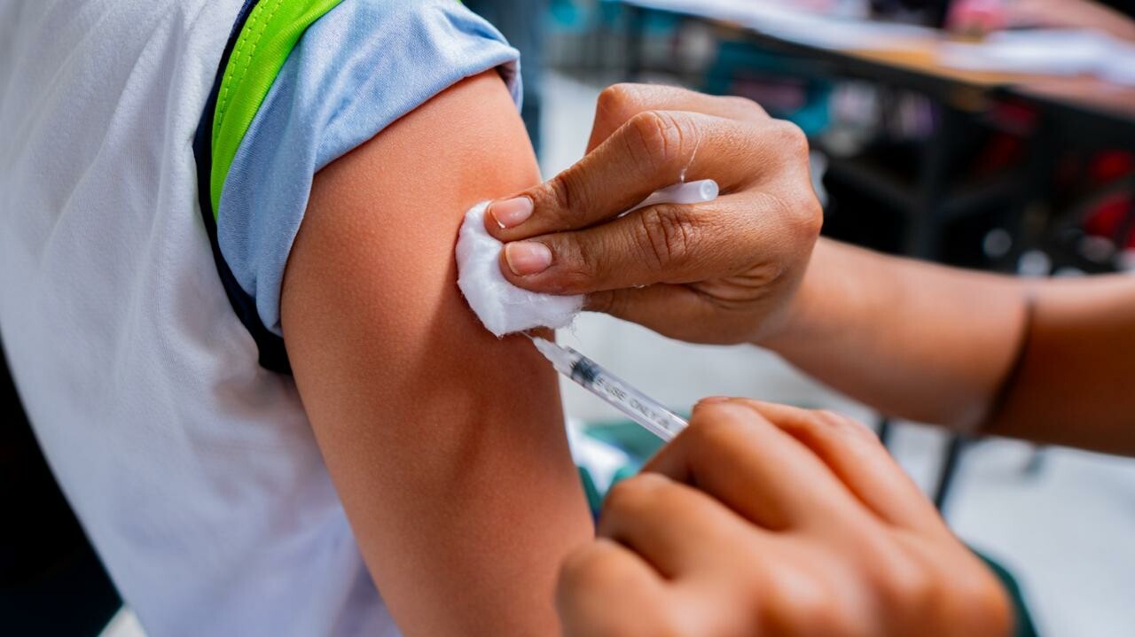 Ibagué registra 57 % de vacunación contra fiebre amarilla