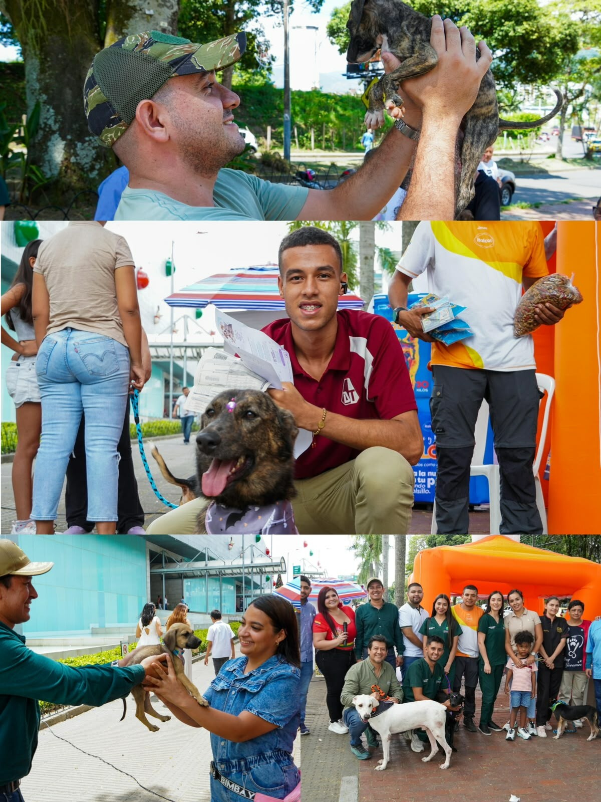 Diez animales abandonan el refugio tras jornada de adopción en Ibagué