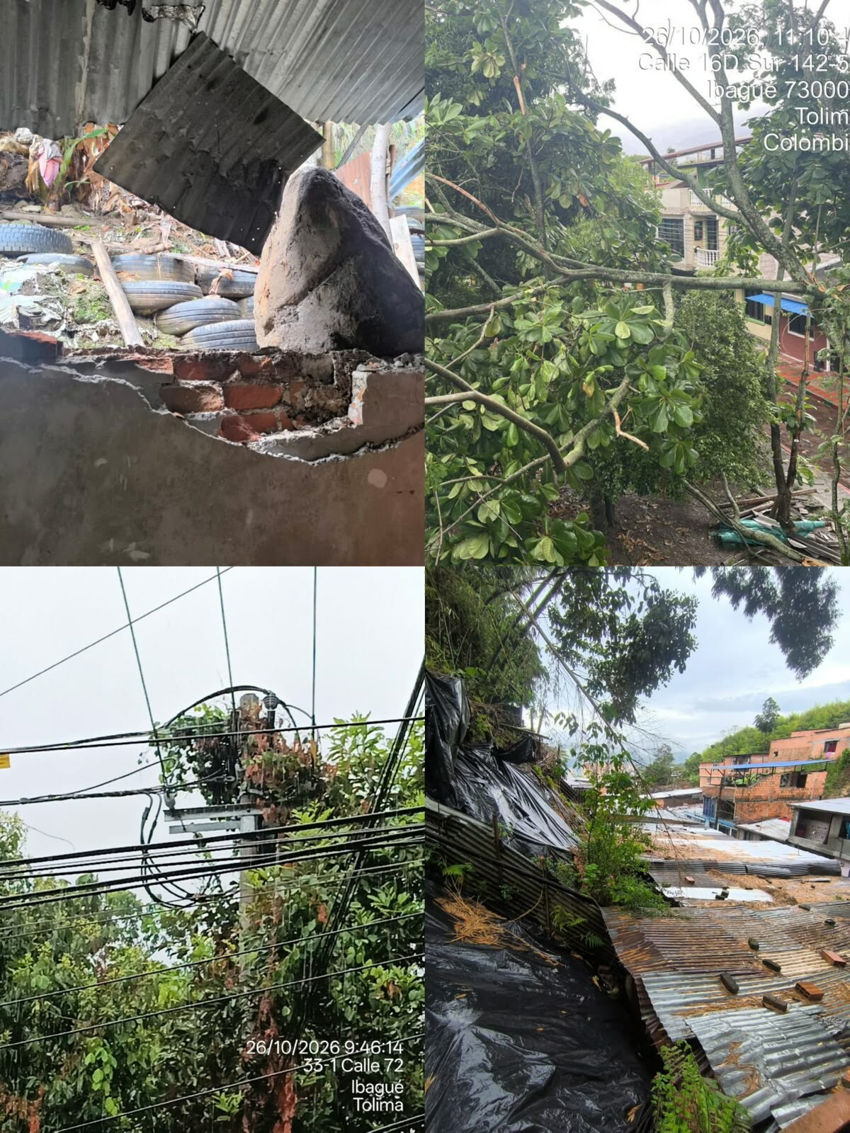 Ramas sobre cables eléctricos provocaron apagones y alertas en dos barrios de Ibagué