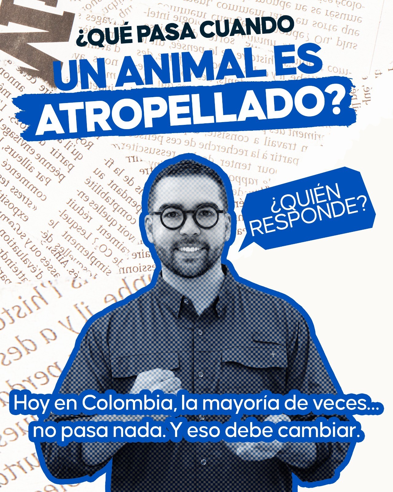 Proyecto de ley para ampliar cubrimiento del SOAT, en atención veterinaria