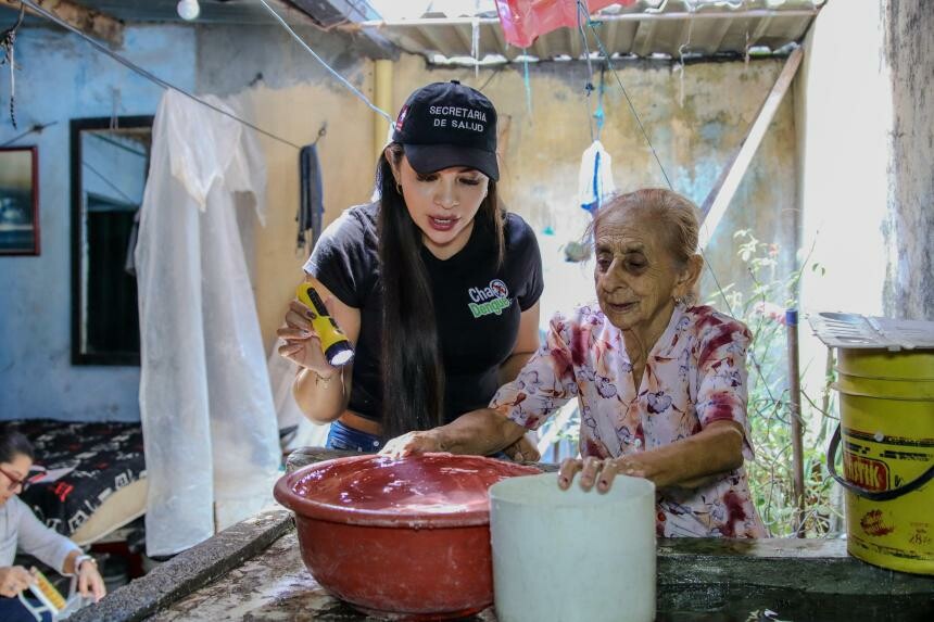 Inspeccionaron 1.100 viviendas y detectaron larvas en 167 hogares