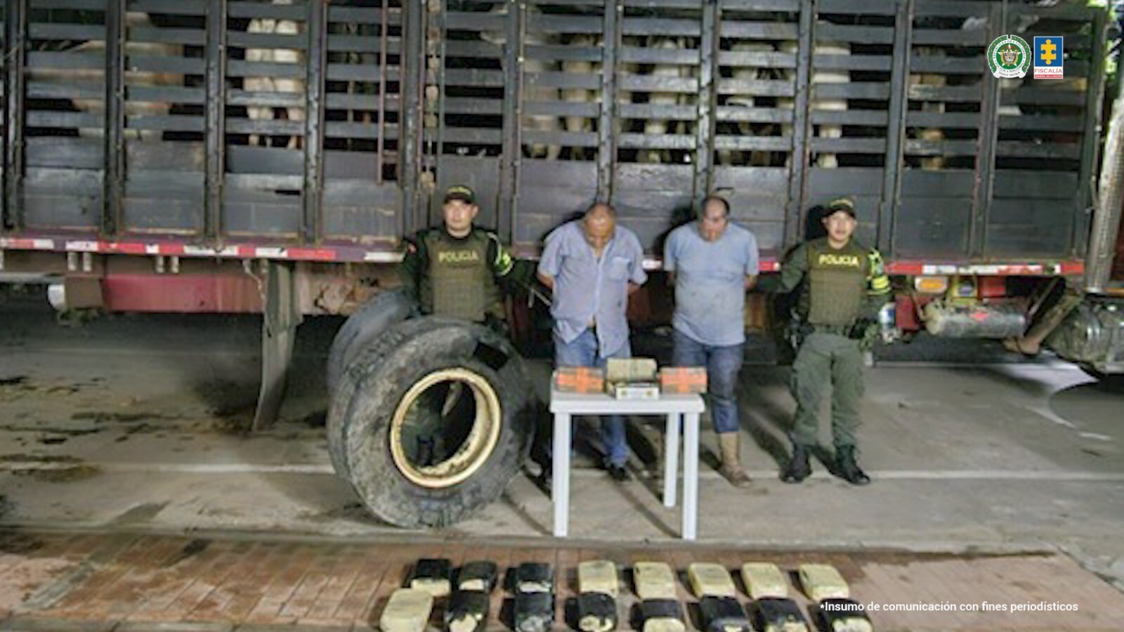 Capturan a dos hombres con 47 kilos de cocaína camuflados en camión ganadero en Tolima