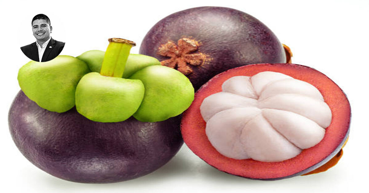 Destino del Tolima gana protagonismo por frutas e historia, con el mangostino como gran atractivo