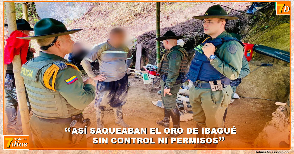 Operativo en zona rural de Ibagué deja cuatro capturados por minería ...