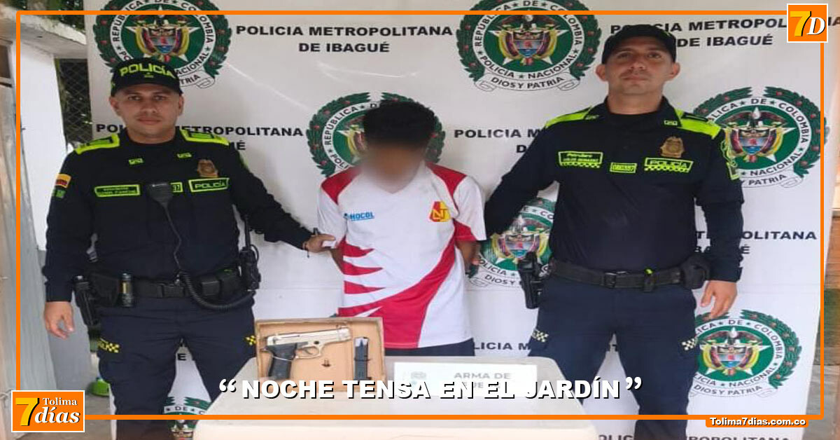 Hombre armado y con seis antecedentes fue sorprendido tras riña en ...
