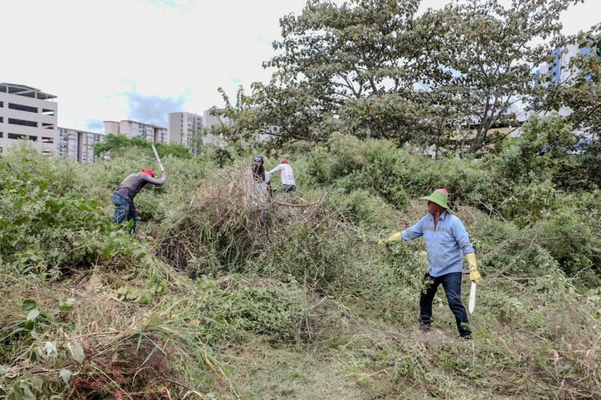 Proyecto ofrecerá capacitación gratuita en inteligencia artificial y nuevas tecnologías