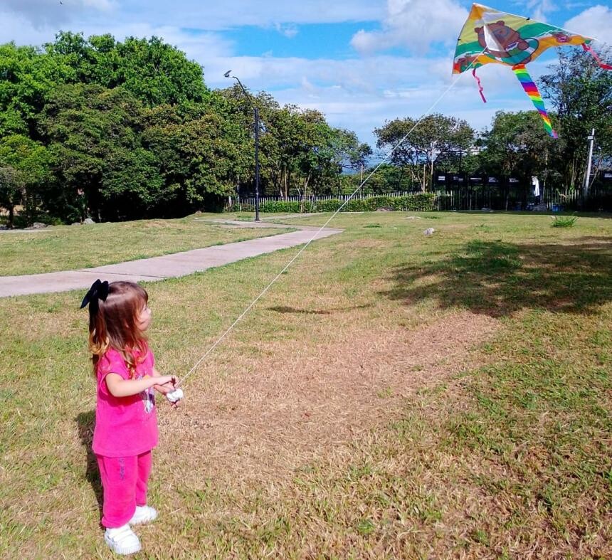 Medidas de seguridad para elevar cometas en Ibagué