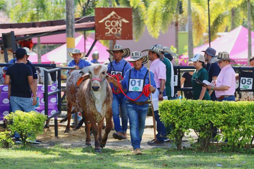 Tradición, sabor y diversión: así será la Feria Agropecuaria y Equina en su versión 57