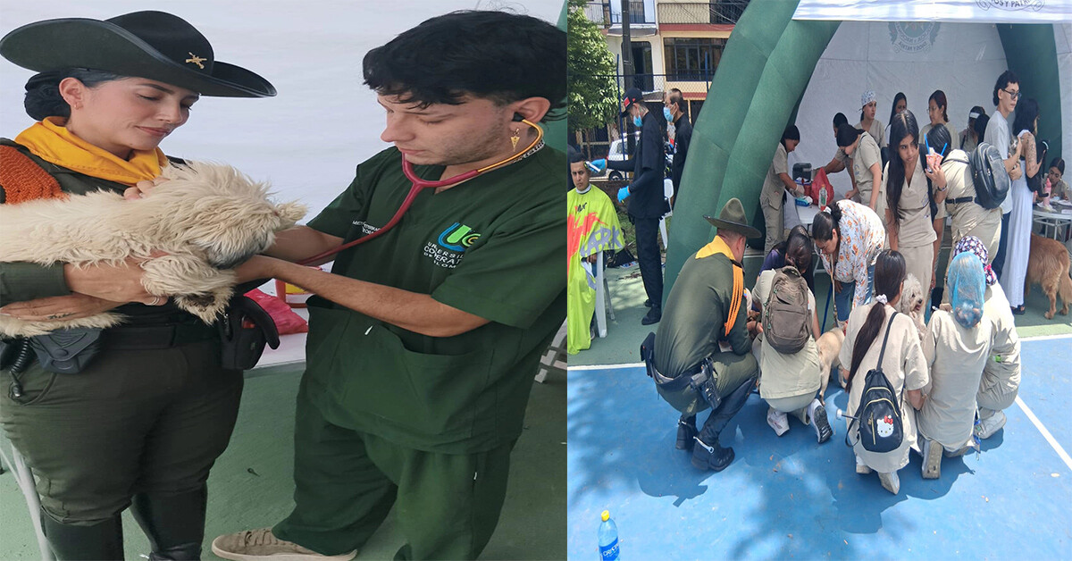 Perros y gatos recibieron atención veterinaria gratuita en Jardín Atolsure